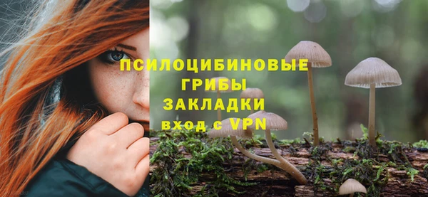 бутират Переславль-Залесский