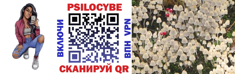 Псилоцибиновые грибы Psilocybe  Тайга 